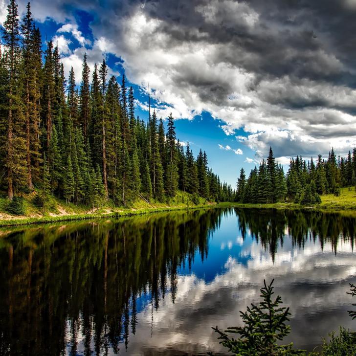 Tiere Landschaft Natur